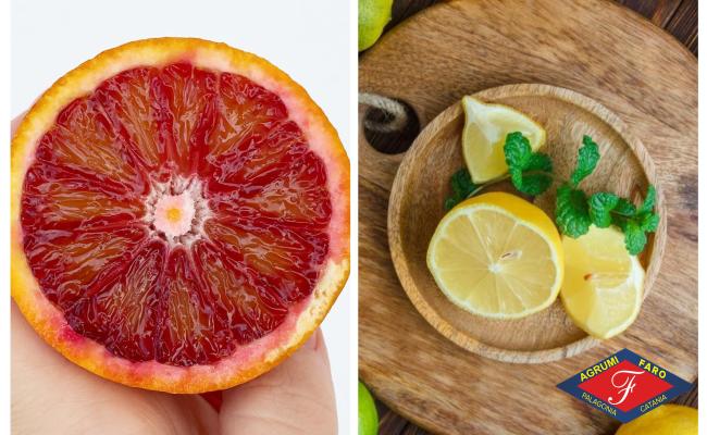 Pacco Arance Moro e Limoni 