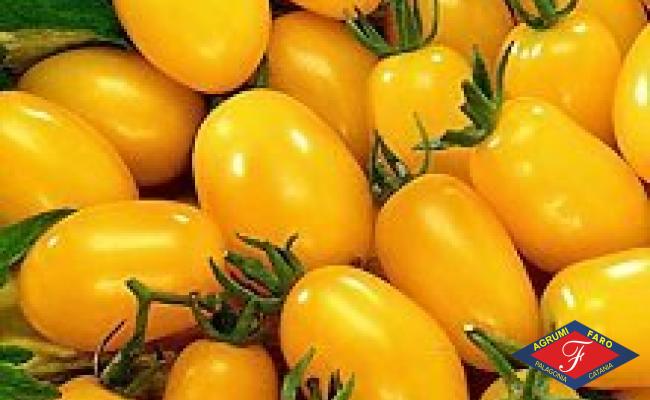 Pomodoro Datterino Giallo