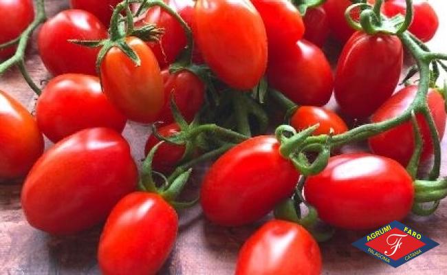 Pomodoro Datterino Rosso