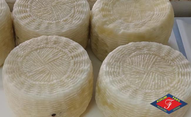 Formaggio di Pecora  di primo Sale