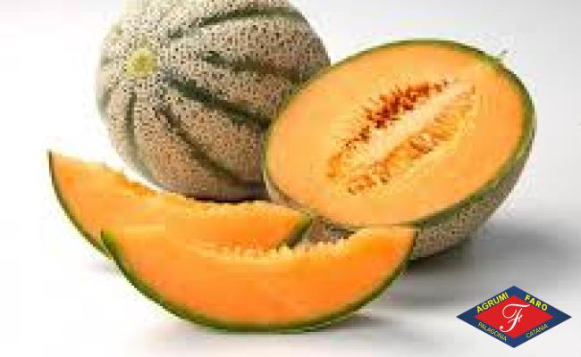 Melone Cantalupo Siciliano        Kg 1,5 