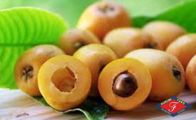 Nespole Siciliane