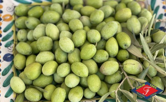 Olive Verdi Fresche